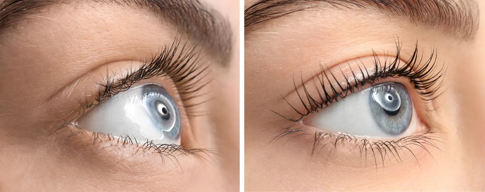Wimpers voor en na een lash lift met verf (stockfoto ter illustratie)