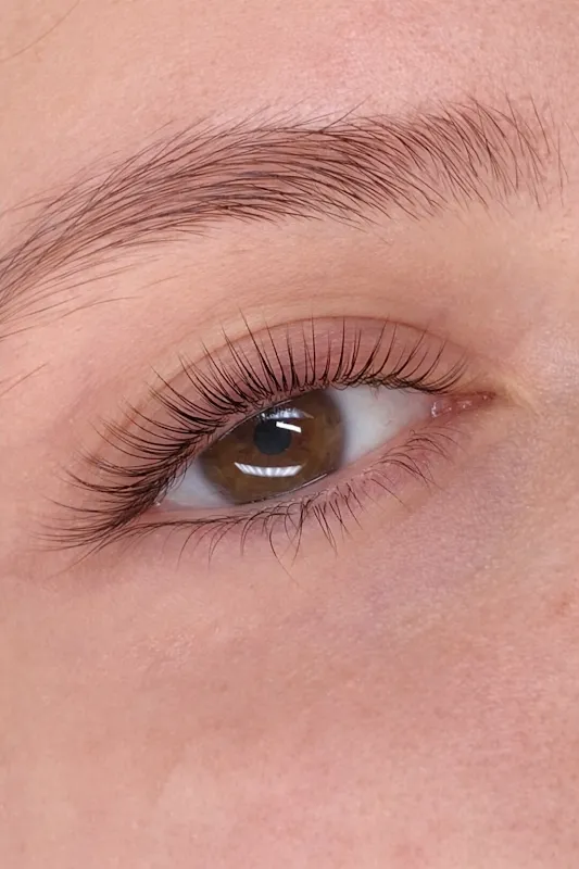 DreamLashes