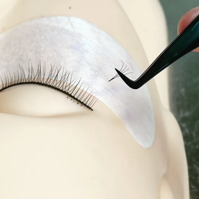 Lioness Lash
