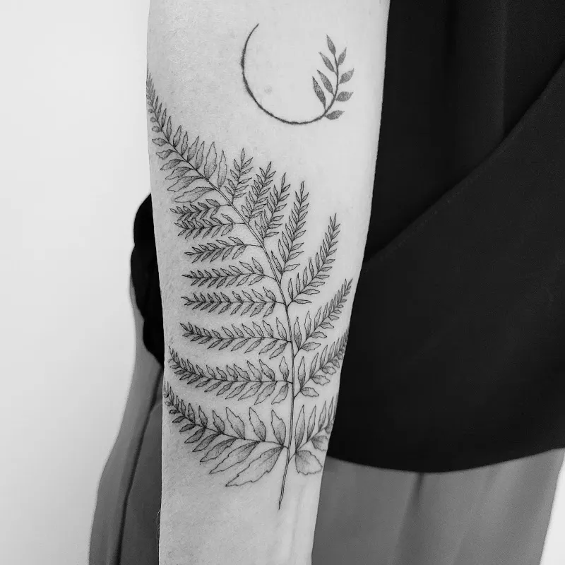 Luna Moth Tattoo Studio