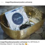 Magnifique logo