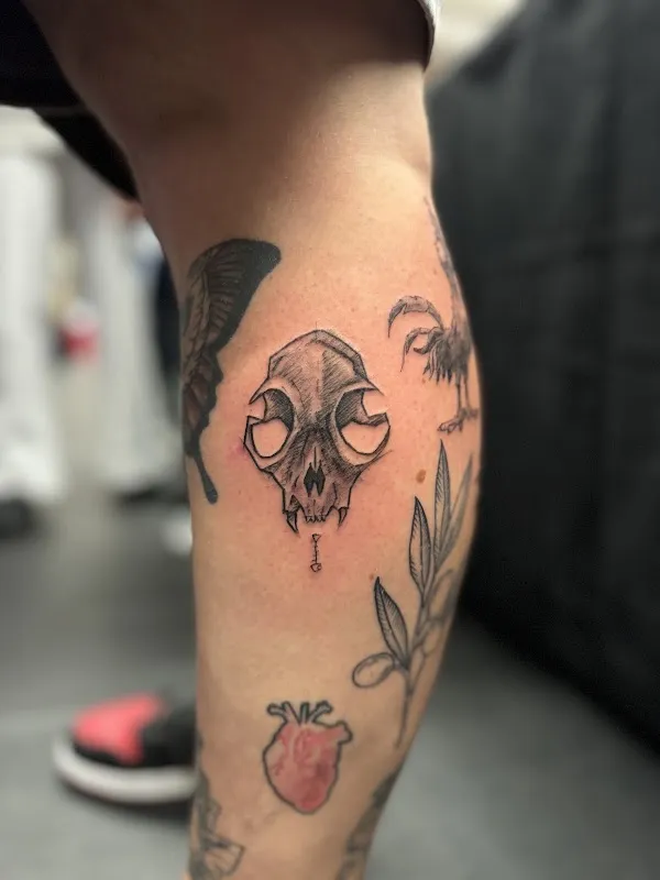 Meerkat tattoo