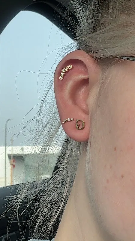 Metal Maven piercings by Brenda
