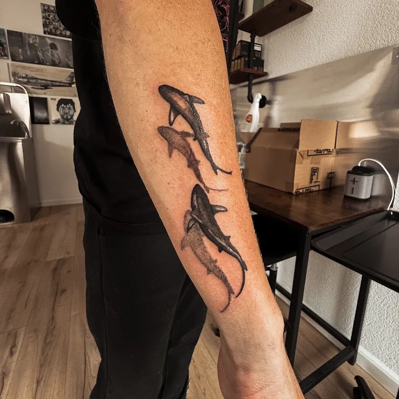 P.inked