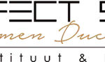 Perfect Skin logo