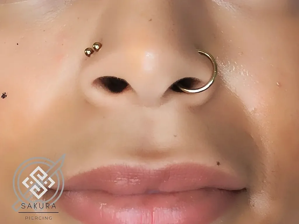 Sakura Piercing chez Holy Sunshine