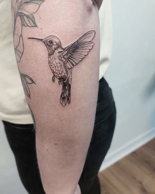 Tattoo Studio Aurora