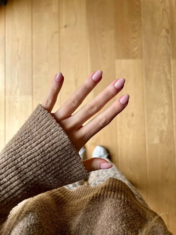 The Beauty Collective