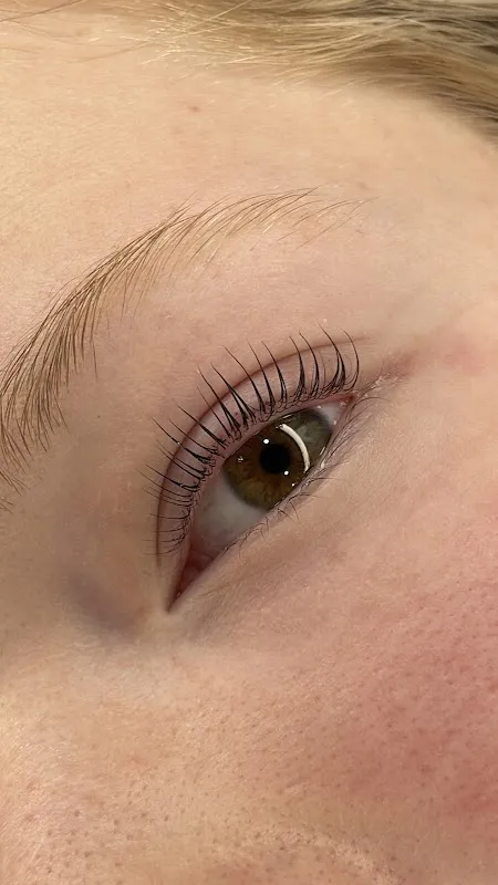 The Lashbrow Boutique