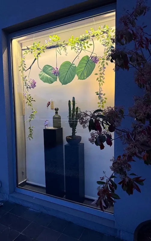 Zenissa Esthetiek